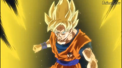Dragon Ball Super 13