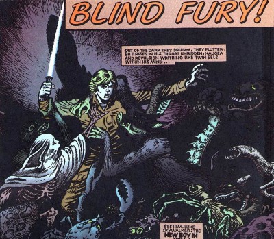 Blindfury