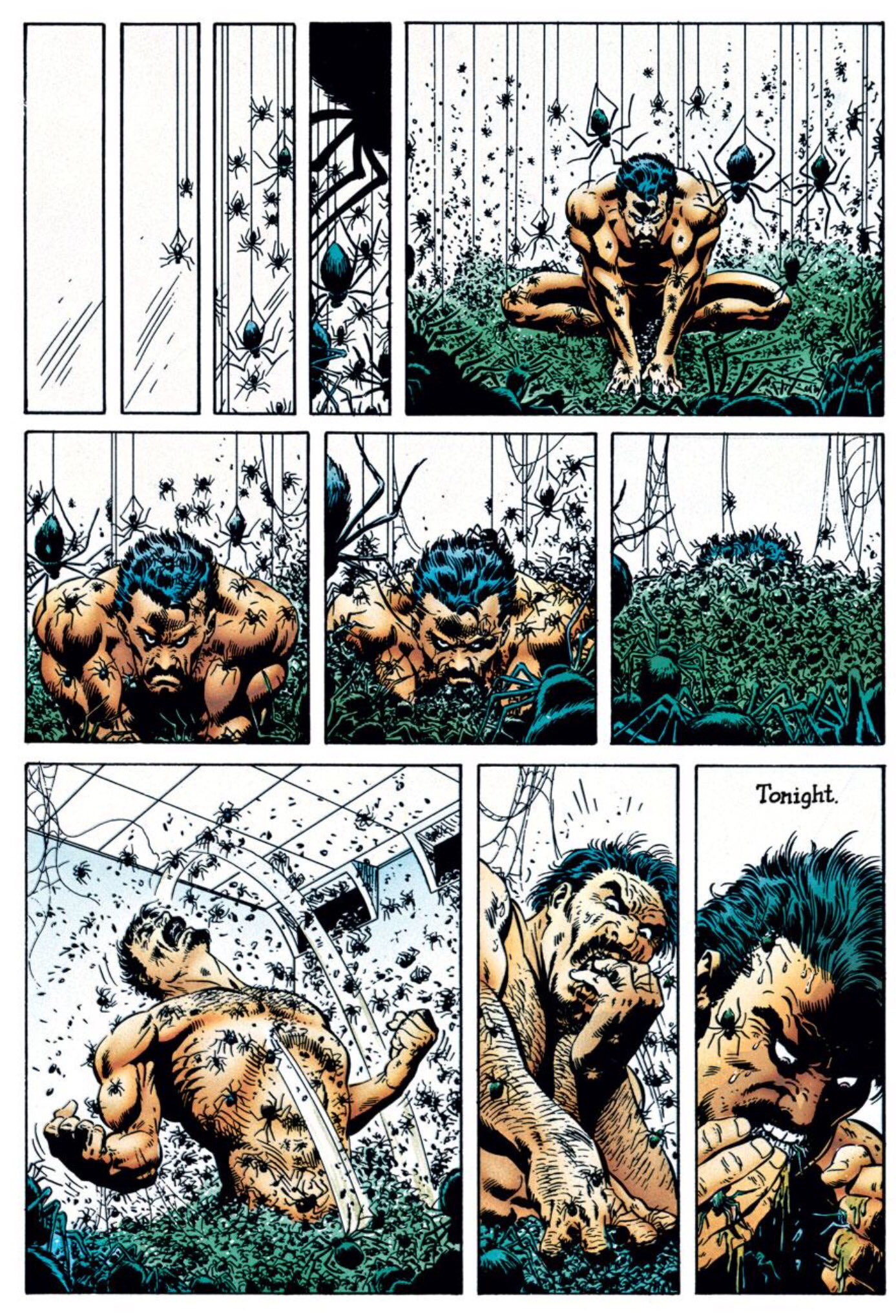 Novelas Gráficas Marvel - El Asombroso Spider-Man: La Última Cacería de  Kraven • Cuarto Mundo